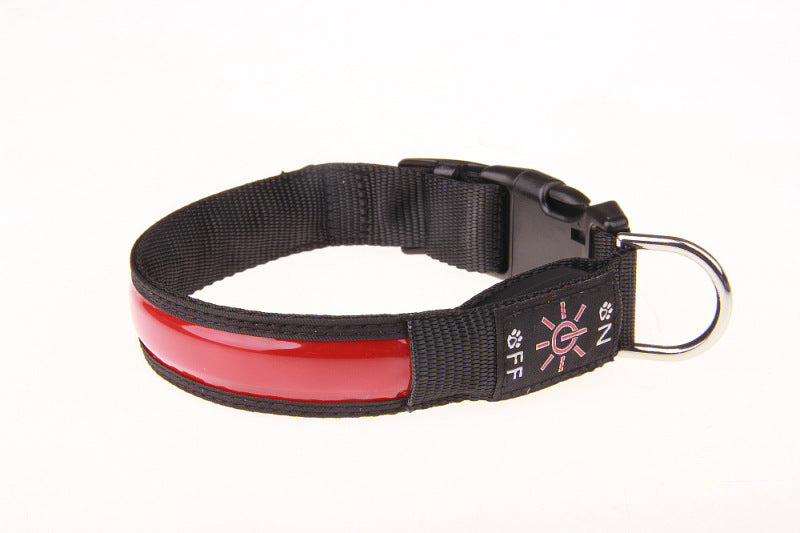 Colliers lumineux pour chiens | Le chic visionâą