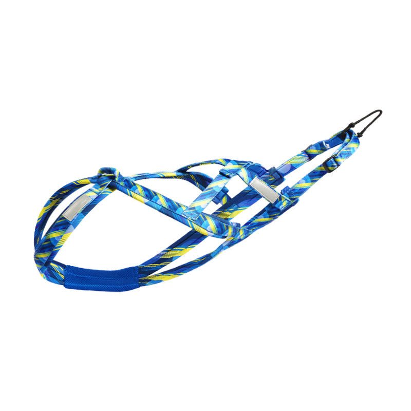 Canicross bleu jaune