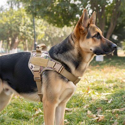 Chien harnais Trek Pro Berger