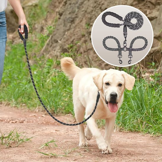 Laisse double gros chien seul