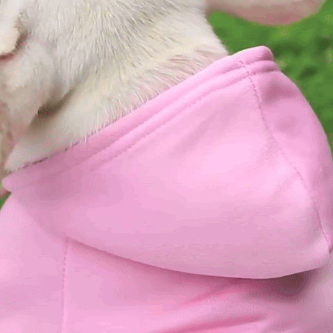 Pull pour chien | Hoody-dog