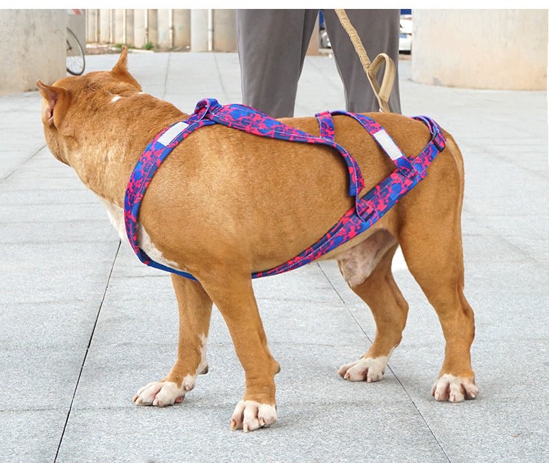 Sportif harnais chien