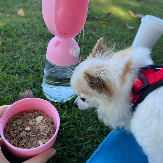 Gourde pour chien praticozen bol