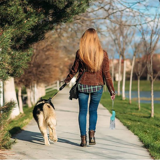 Gourde pour chienâ promenade