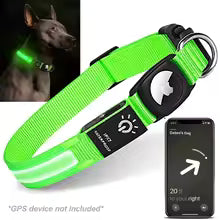 Collier GPS pour chien Fido vert