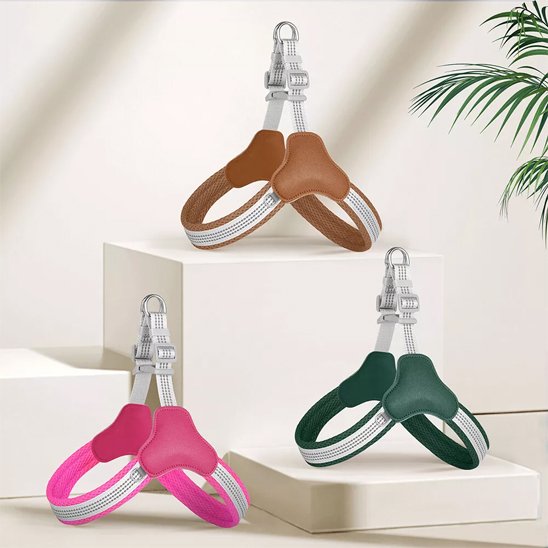 Harnais pour chien couleurs