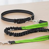 Laisse canicross vert