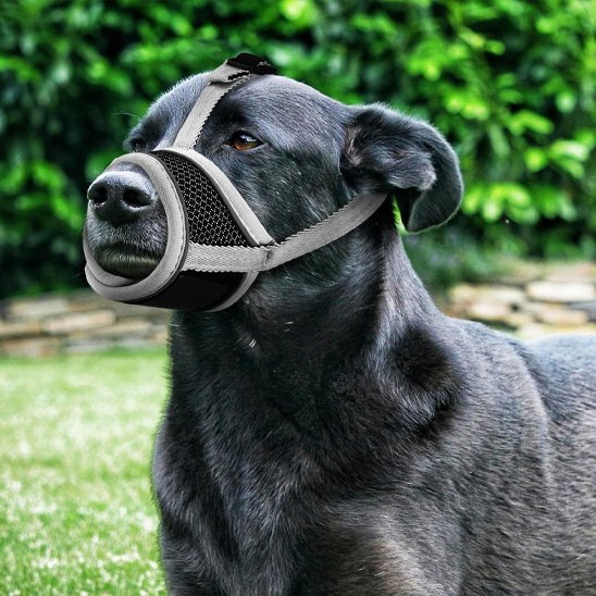 Muselière pour chien musolibre