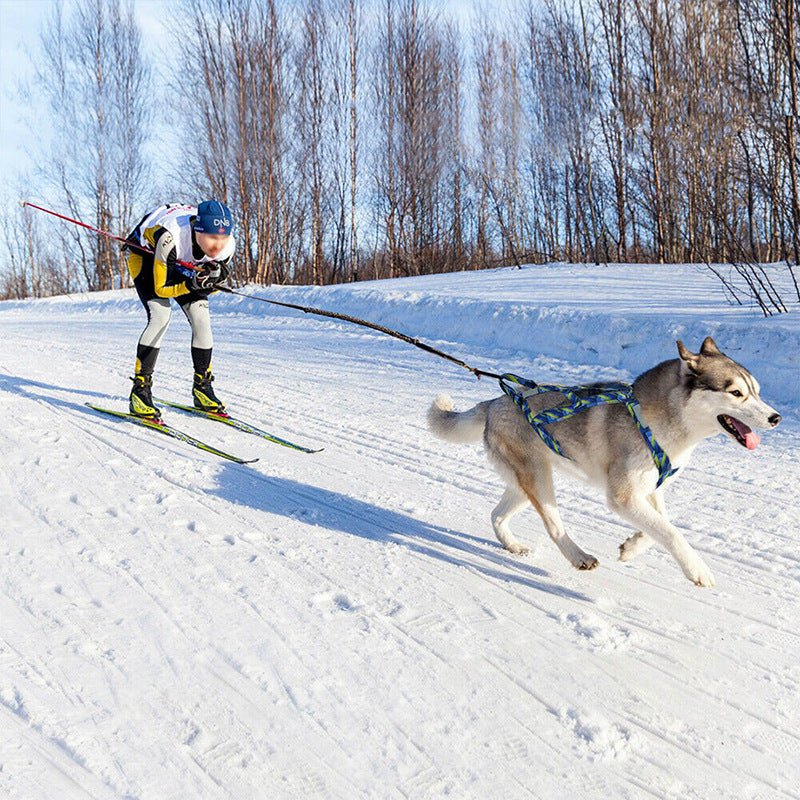 sportif ski