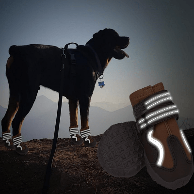Chaussure pour Chien - DogBoots™ - Marron