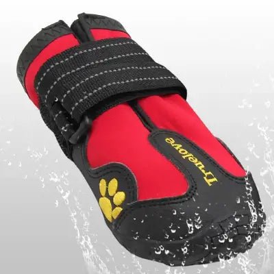 Bottes chien rouge vu de proche et de face