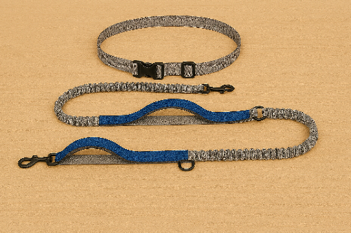 Canicross gris bleu