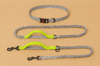 Canicross gris jaune