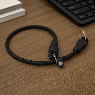 collier noir pour chien 