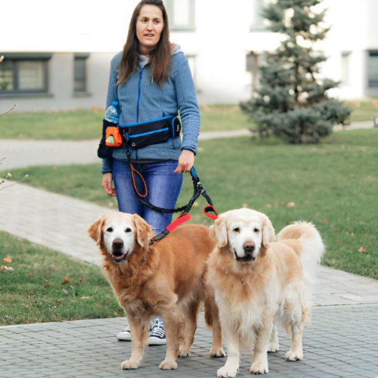Duo ergono chiens femme