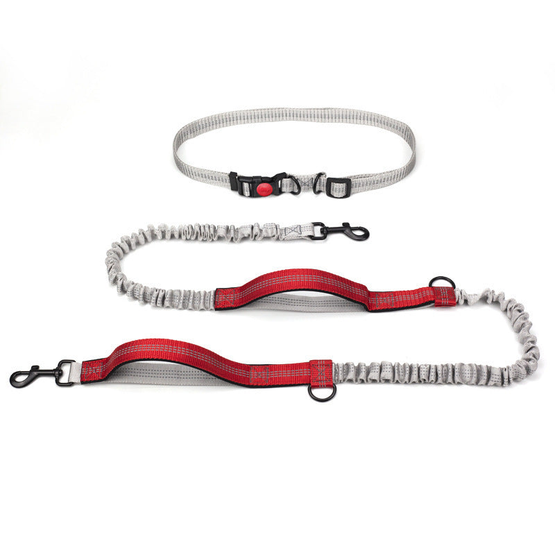 Laisse pour chien | Le Canicross ™