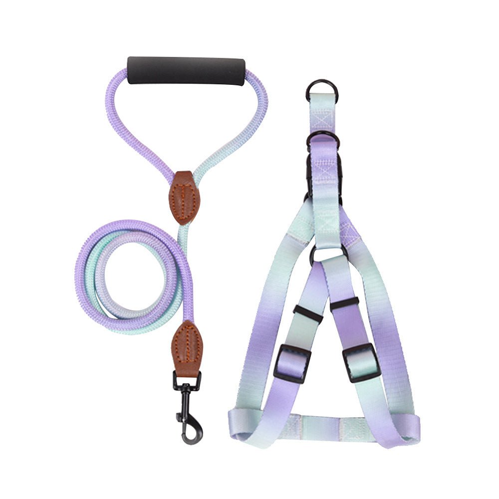 Harnais chien violet vert