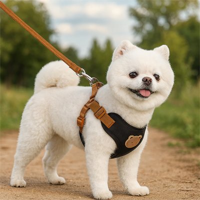 harnais pour petit chien poméranien blanc harnais noir