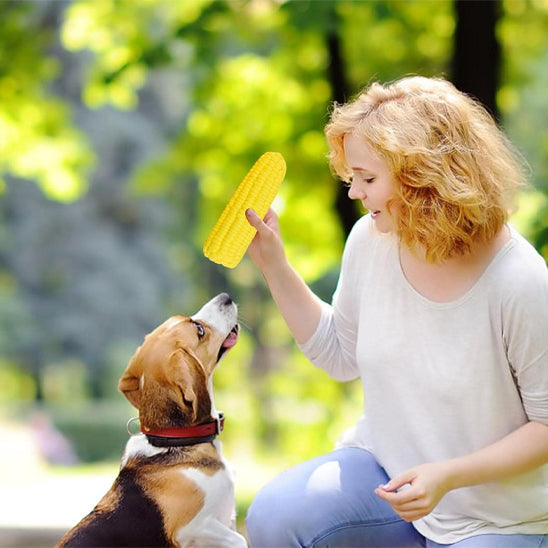 Jouet chien jeu au parc avec sa maitresse et son jouet