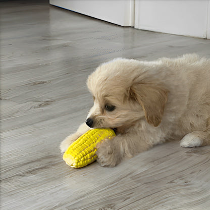 Jouet chien chiot avec epi de mais jouet
