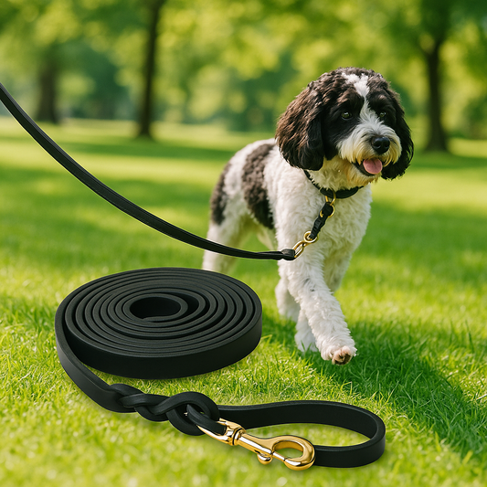 maitre cockapoo 