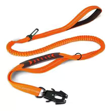 Laisse pour chien TakTik Zen couleur orange