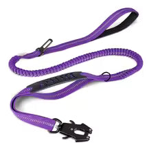 Laisse pour chien TakTik Zen violet