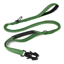 Laisse pour chien TakTik Zen couleur vert