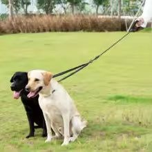 Laisse pour chien duo rando double