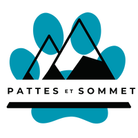 Logo pattes sommet bleu