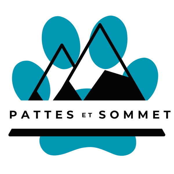 Logo pattes sommet bleu