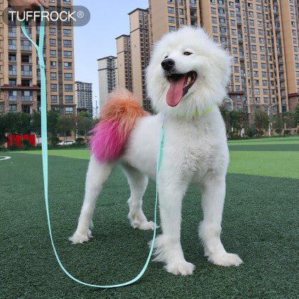 Longe Chien blanc menthe