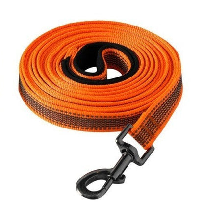 longe pour chien couleurs orange 