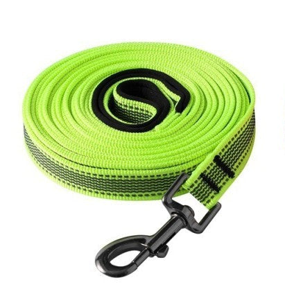 longe pour chien couleur verte