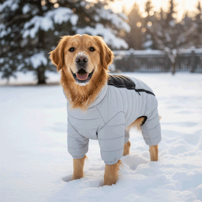Manteau pour Chien avec Pattes | Chic et Chaud
