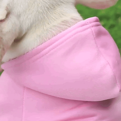 Pull pour chien | Hoody-dog