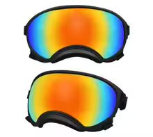 Lunette pour chien | Zen sécure
