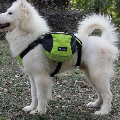 Sac a dos pour chien Samoyede blanc 