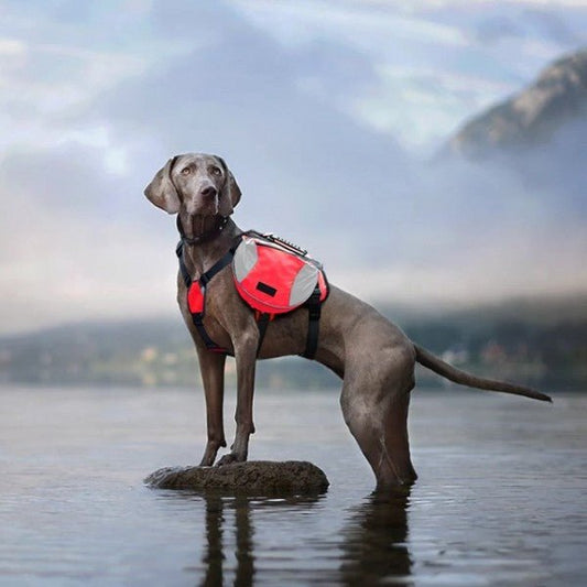 Sac dos chien rouge eau