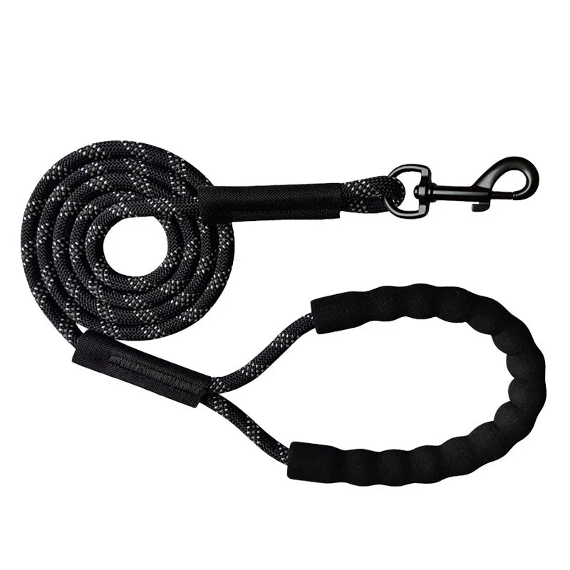 Longe chien | Liberte