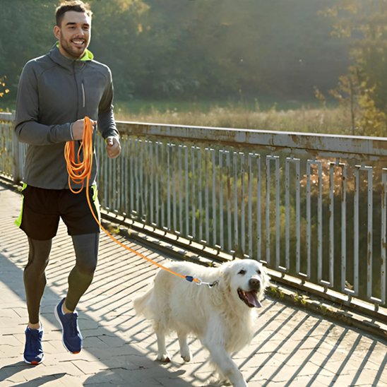 Ultra securite longe chien jogging