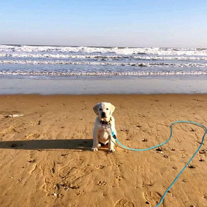 Ultra securite longe chien plage