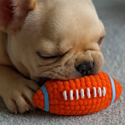 Balle pour Chien Football chiot