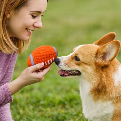 Balle pour Chien Football jeu 