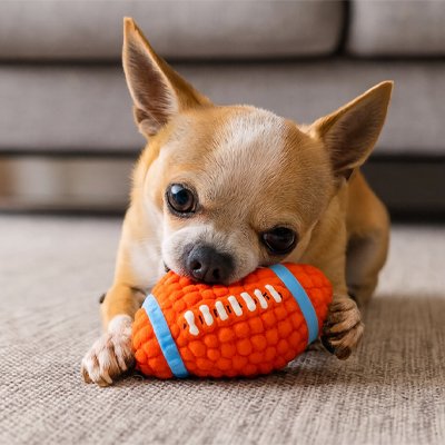 Balle pour Chien Football petit chien