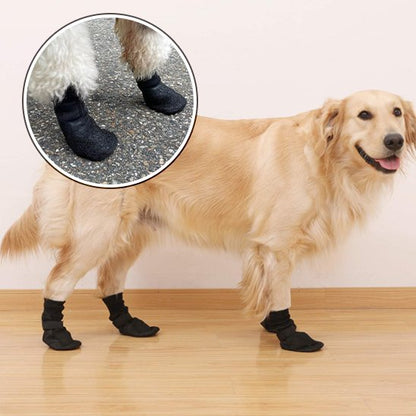 Bas chien golden