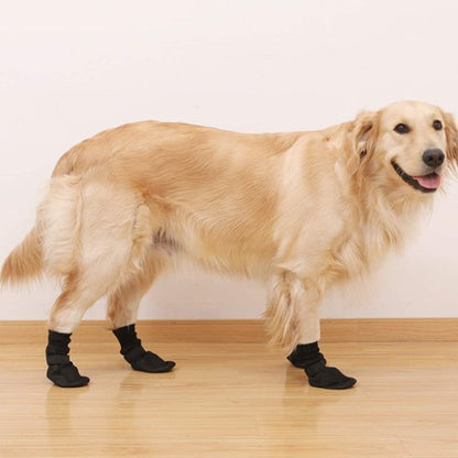 Bas chien plancher