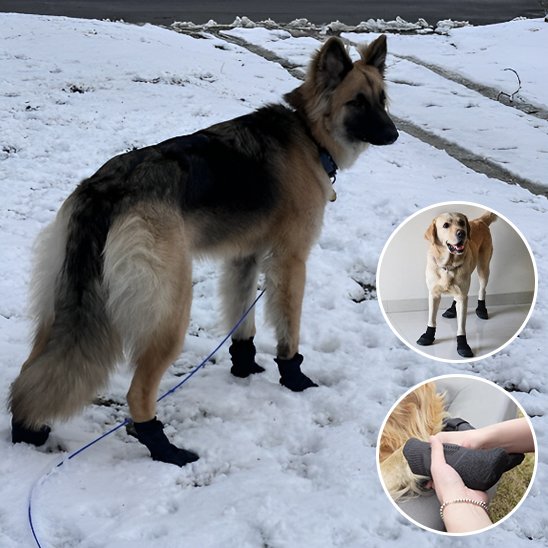 Bas chien produits