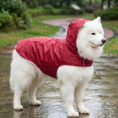 Blouson pour chien​ rouge
