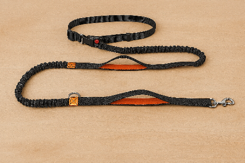 Canicross orange